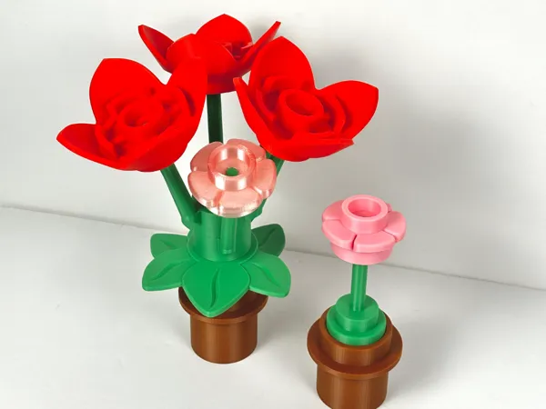 https://makerworld.bblmw.com/makerworld/model/US1b80e8bf49dc31/design/2025-01-30_96923dc8c0f5a.jpg