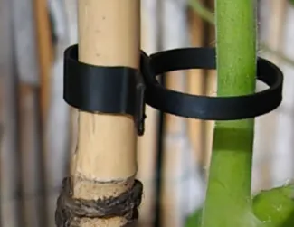 Fixed/stay in place flower/plant/orchid clip