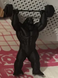 0.12mm layer, 2 walls, 10% infill