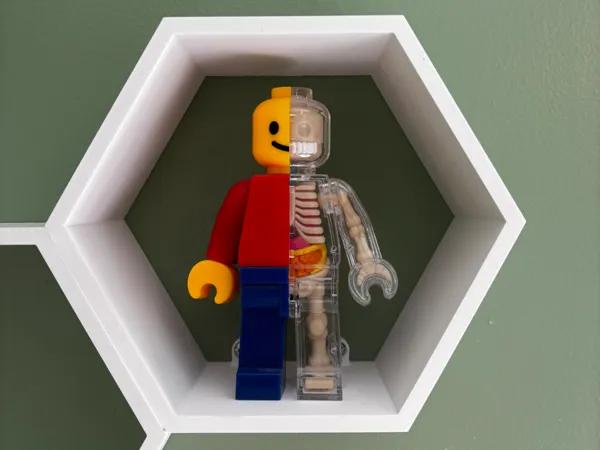 https://makerworld.bblmw.com/makerworld/model/US1b94287ad5fae8/design/2025-07-12_1c997fe2473cd.jpeg