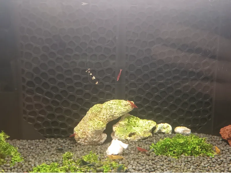 适用于小米鱼缸的爬架网格