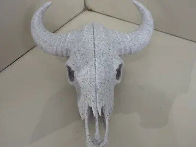 Buffalo Skull
