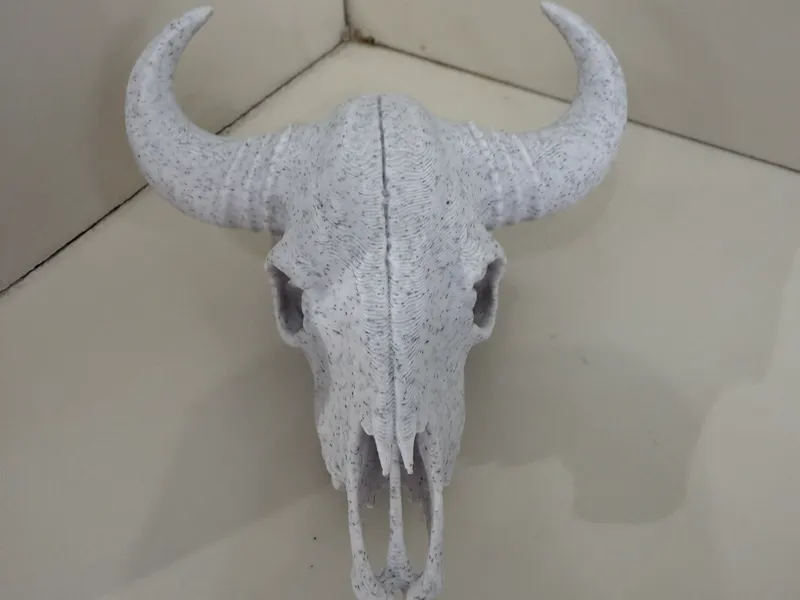 Buffalo Skull