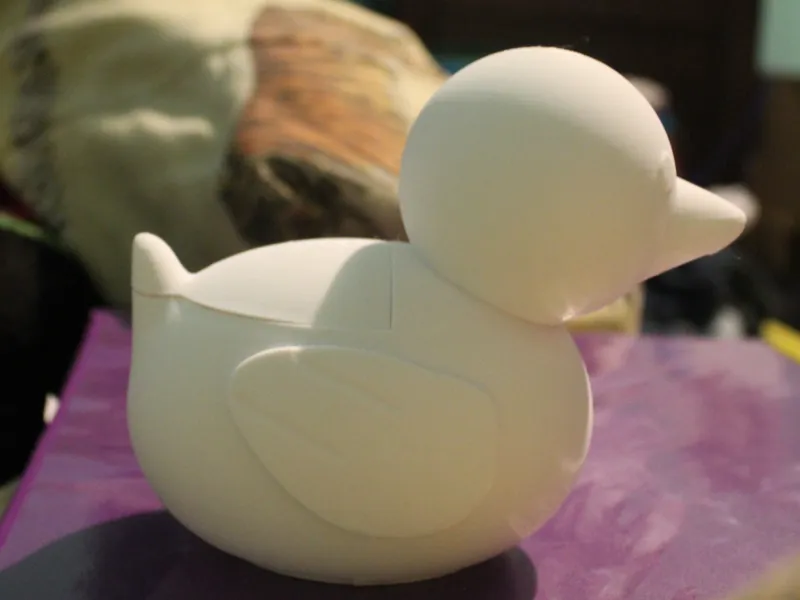 Duck Container
