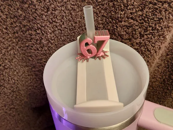 https://makerworld.bblmw.com/makerworld/model/US1b97fd4217dbf1/design/2025-11-12_877e778309b0a8.jpg