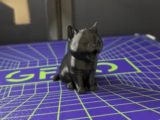 Süße Katze