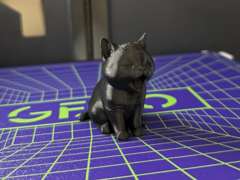 Süße Katze