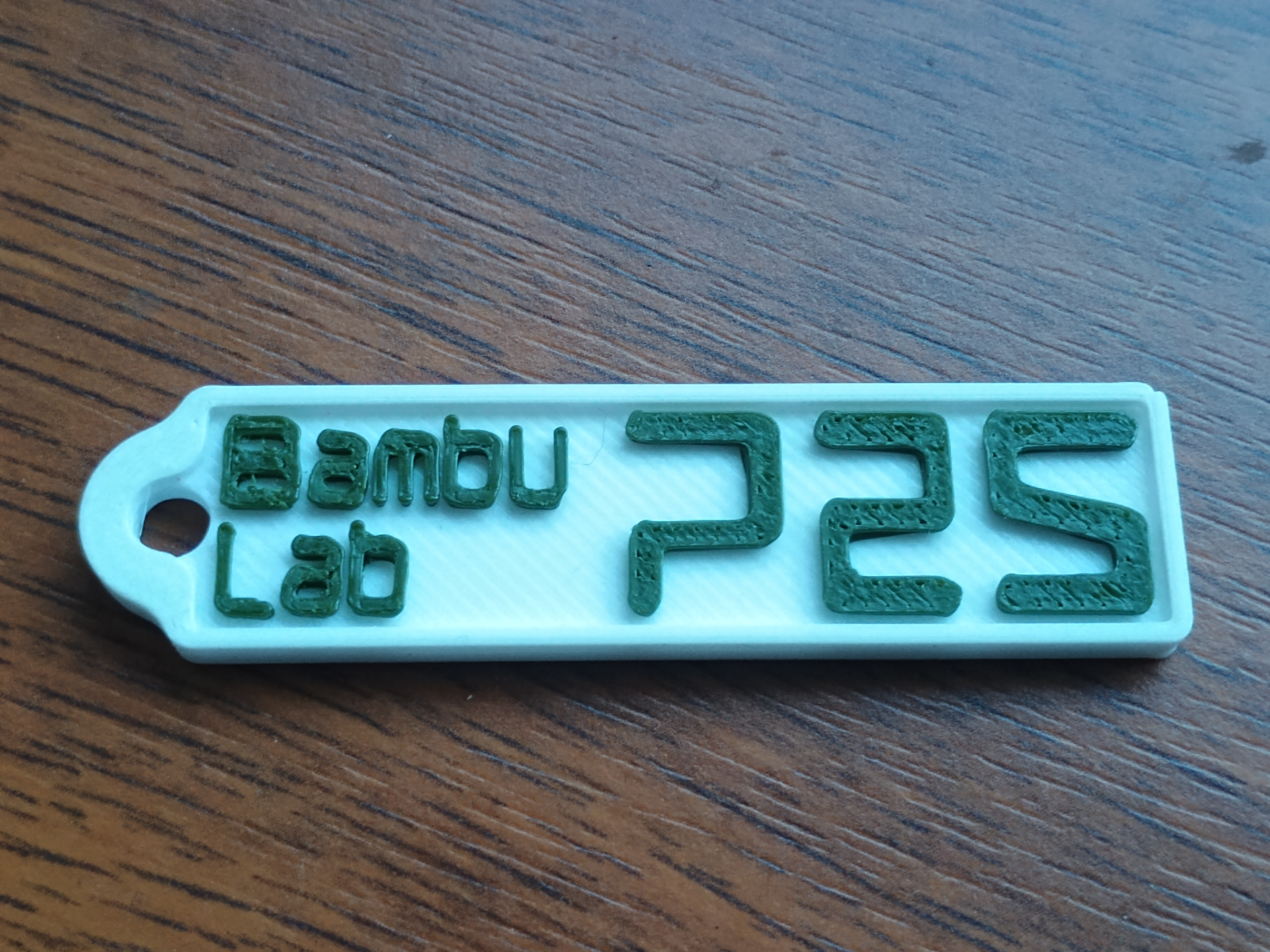 Bambu Lab P2S keychain