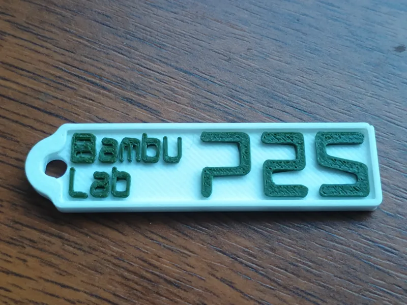 Bambu Lab P2S keychain