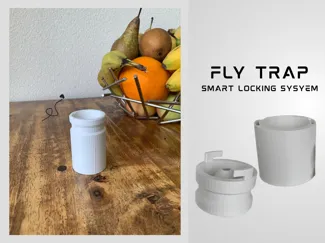 Fly Trap