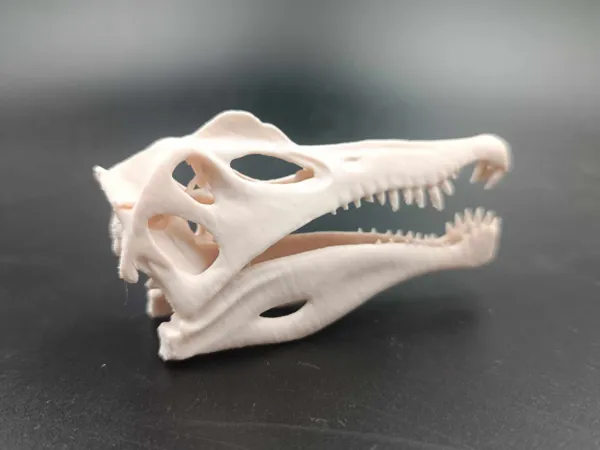 https://makerworld.bblmw.com/makerworld/model/US1b9d4a41a02bba/design/2025-03-17_8071604e23e86.jpg