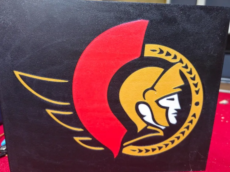 Ottawa Senators Lightbox