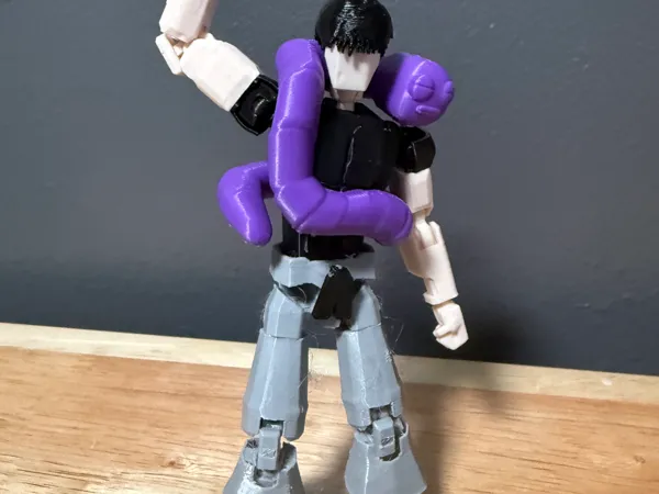 https://makerworld.bblmw.com/makerworld/model/US1ba3c7ebbb51e/design/8d5879487ebb0888.jpeg