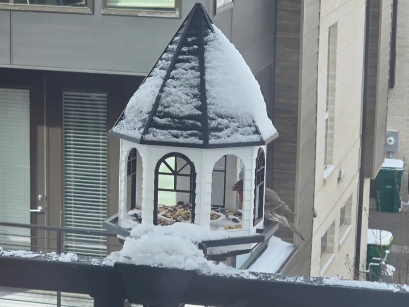 Premium Bird Feeder Railing Mount