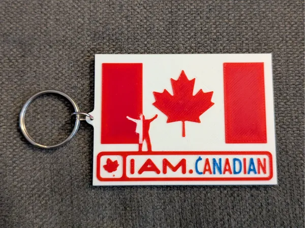 https://makerworld.bblmw.com/makerworld/model/US1bb12f990b01ae/design/2025-03-06_baf6f2464234b.jpg