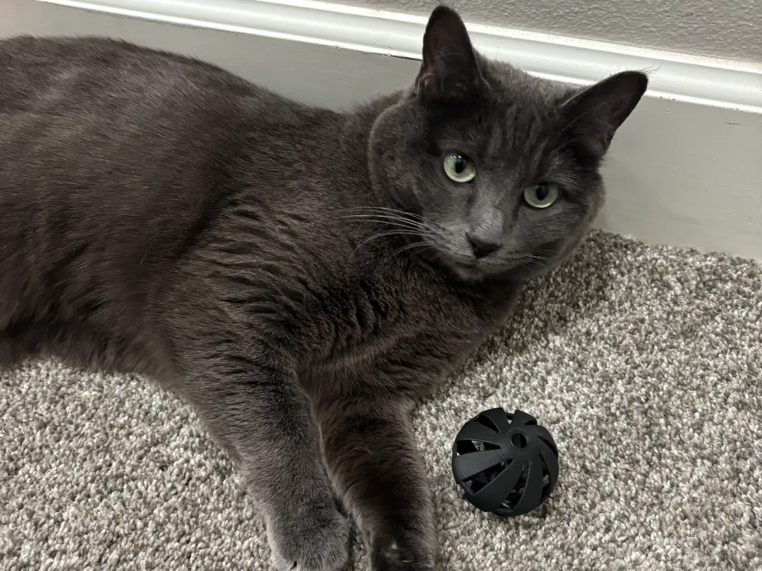 Jouet boule pour chat