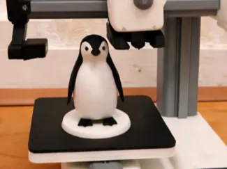 Penguin Mascot