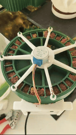 30-Day ESP8266 Fish Feeder V2