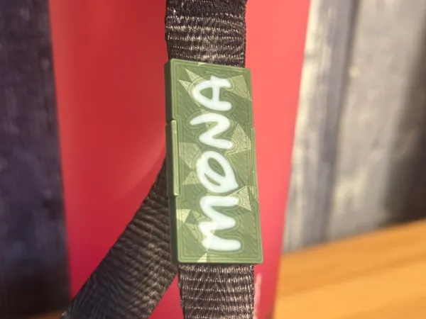 https://makerworld.bblmw.com/makerworld/model/US1bc2d2703a24ff/design/2025-09-10_7cbc8564f32908.jpg