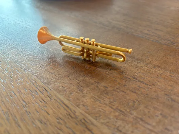 https://makerworld.bblmw.com/makerworld/model/US1bc2f7d74a2f9f/design/2025-02-08_7814b9b046537.jpeg
