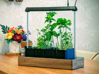 Modular Smart Self-Watering Planter with Grow LEDs