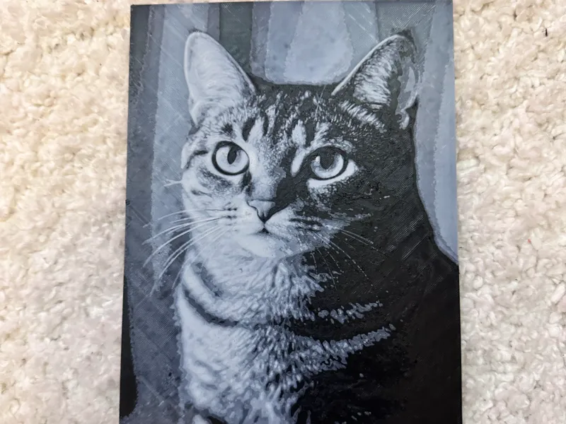 Cat Picture