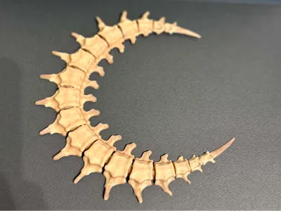 Vertebrae Crescent Moon - bones moon no supports