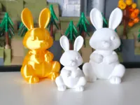 Big Bunny