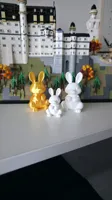 Small Bunny
