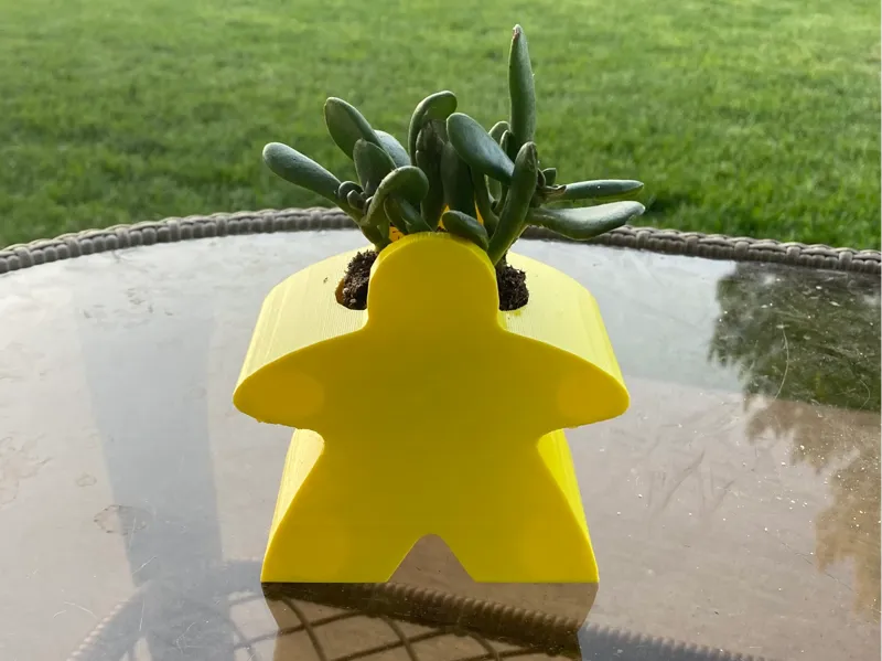 Meeple Succulent Planter