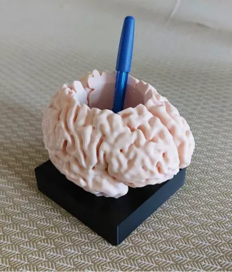 Brain pen holder