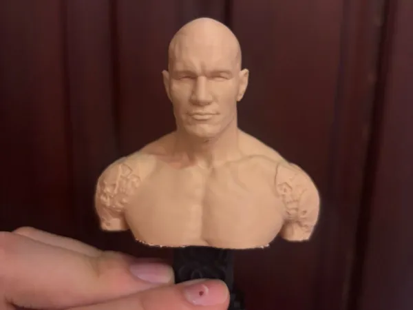 https://makerworld.bblmw.com/makerworld/model/US1bd2a287e0fc99/design/0959363a3b695a4e.jpeg