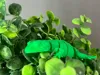 0.2mm layer, 3 walls, 10% infill