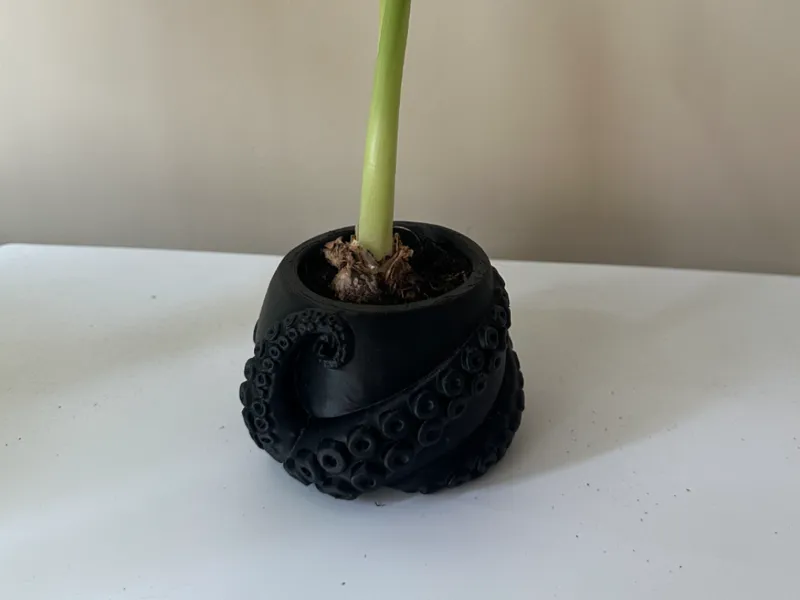 Octopus Tentacle Planter - Small Succulent Pot