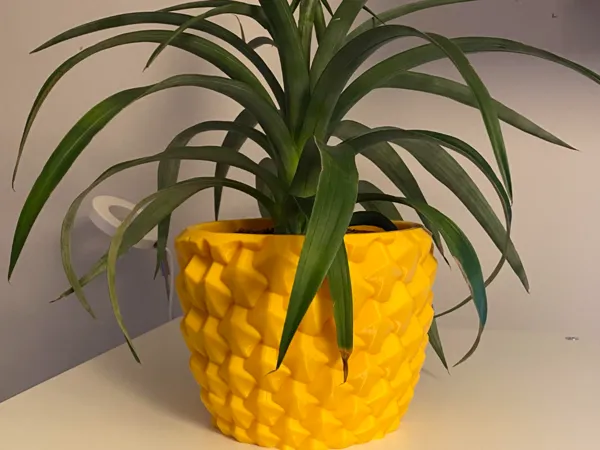 https://makerworld.bblmw.com/makerworld/model/US1bdba0b904dab3/design/2025-03-07_b225b158a4dd2.jpg