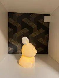 Lapin veilleuse LED — photo 6