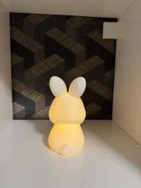 Lapin veilleuse LED — photo 5