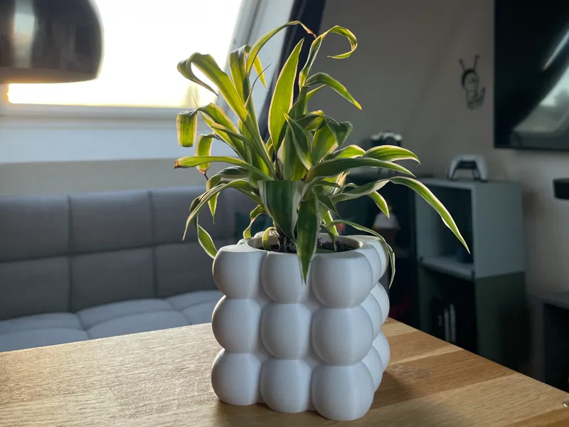 Bubble Mini Blumentopf