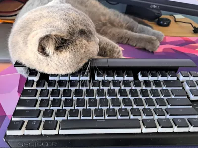 Keyboard protector for cat owners