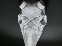 Lightning Illusion - Deer Skull - BAS - Full Scale