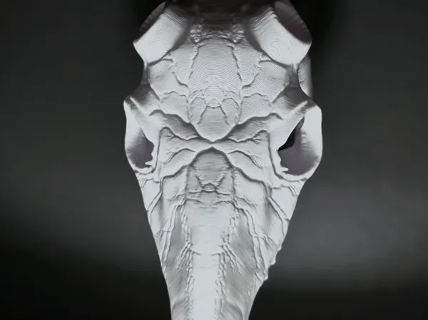 https://makerworld.bblmw.com/makerworld/model/US1bf05518242c70/design/0852b9b2f3736a24.jpg