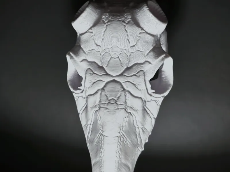 Graphic Deer Skull - Illusionary Lightning - BAS