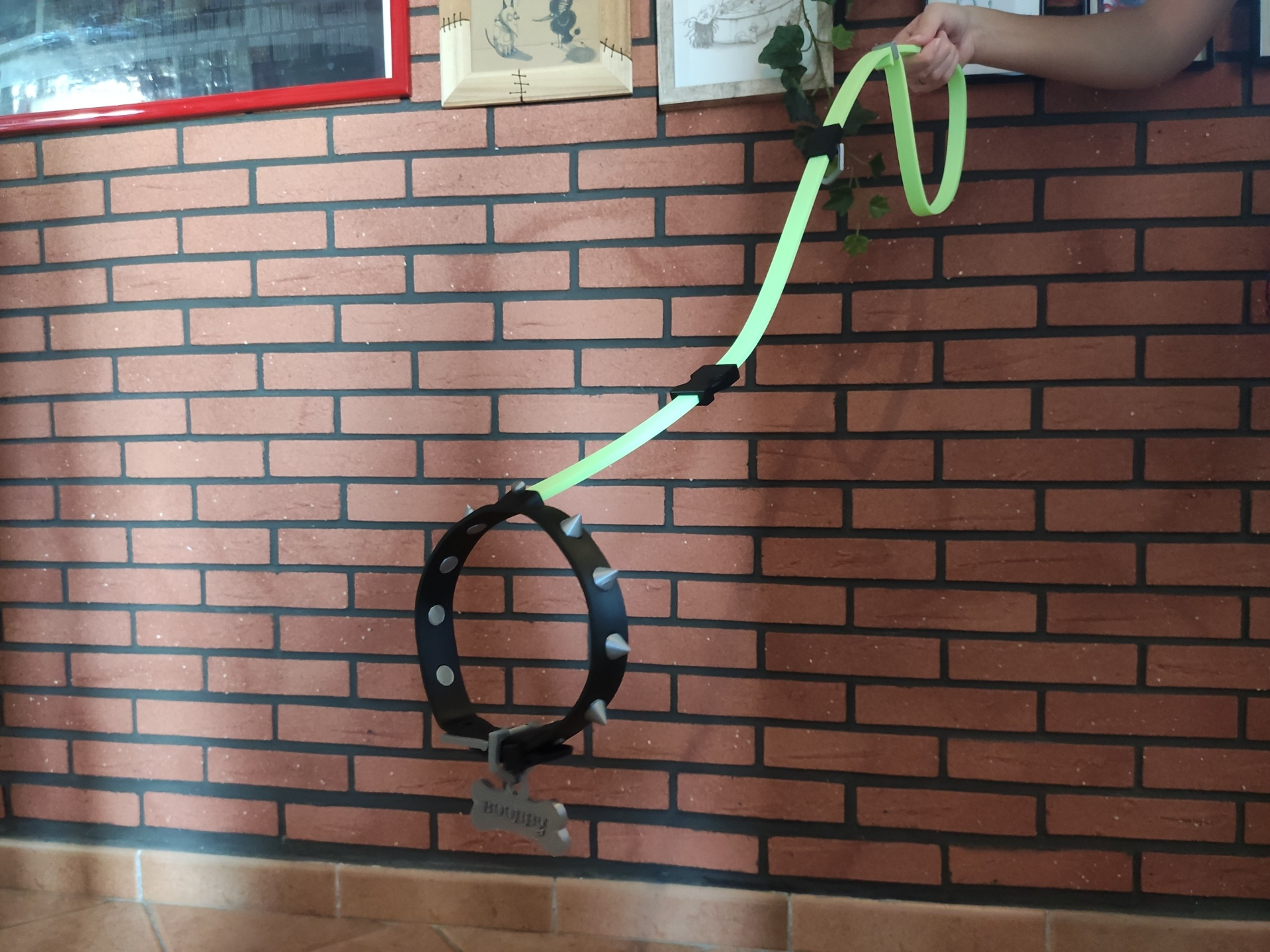 A PASSEGGIO CON BOOBBY, IL CANE FANTASMA! - 1