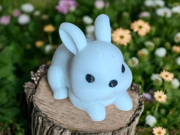 https://makerworld.bblmw.com/makerworld/model/US1bf2e32864cfd6/design/2025-03-16_bd8d42b503139.jpg