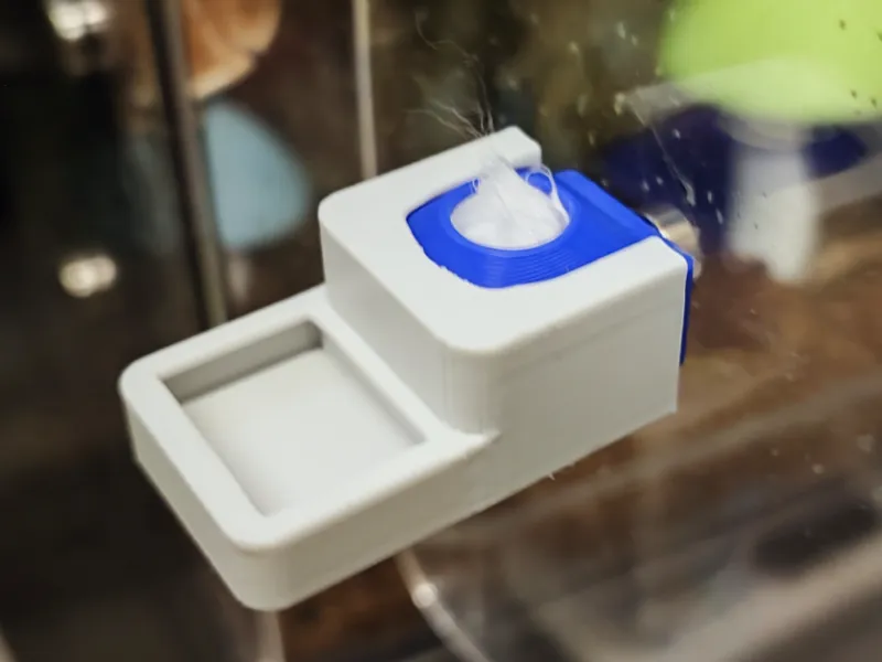 Jumping spider water dispenser + feeding dish