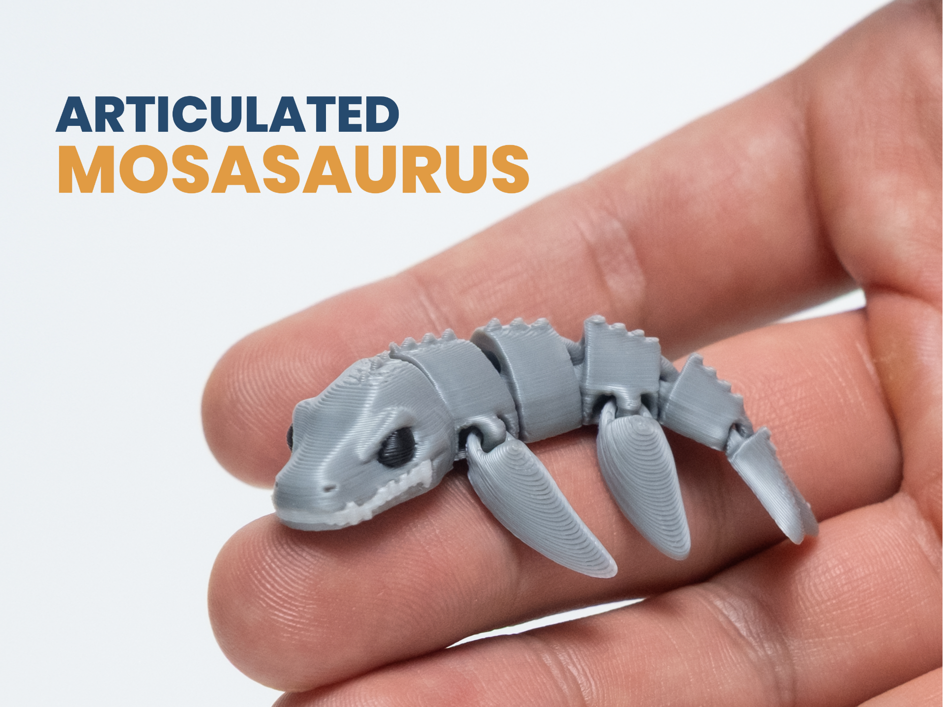 Articulated Mosasaurus
