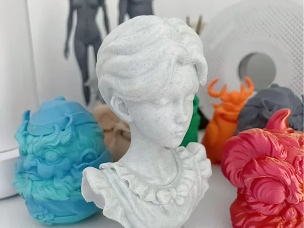 https://makerworld.bblmw.com/makerworld/model/US1c010a87f7112a/design/2024-07-20_755c39a03ce25.jpg
