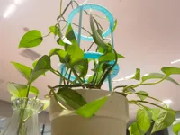 0.2mm 层高, 3 层墙, 15% 填充