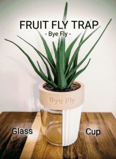 Fruit Fly Trap - Bye Fly - Now with Cups