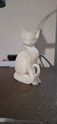 0.08mm layer, 2 walls, 10% infill